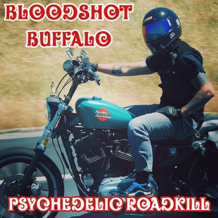 Bloodshot Buffalo : Psychedelic Roadkill